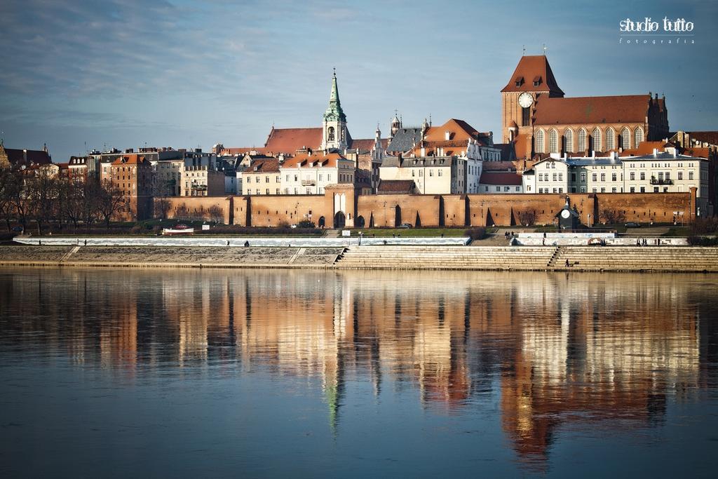 Apartment Koci Ogon Torun